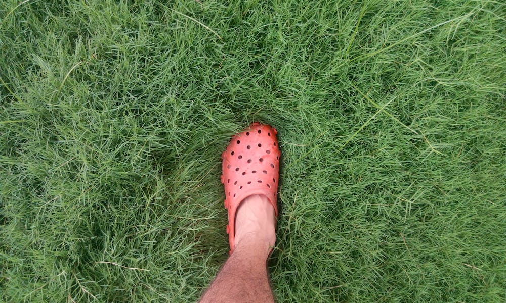 The Best Men's Sandals for Flat Feet